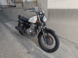 �X�Y�L�O���X�g���b�J�[�i���Q�����R�s�j�摜18