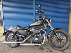 �n�[���[&nbsp;�n�[���[�_�r�b�h�\��XL883N 