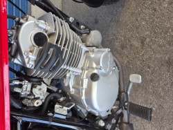 �X�Y�L�O���X�g���b�J�[�i���Q�����R�s�j�摜4