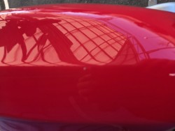 �X�Y�L�O���X�g���b�J�[�i���Q�����R�s�j�摜9