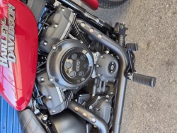 �n�[���[�n�[���[�_�r�b�h�\��FXBB�i���Q�����R�s�j�摜4