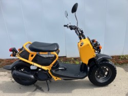 �z���_�Y�[�}�[�i���Q�����R�s�j�摜2