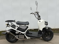 �z���_�Y�[�}�[�i���Q�����R�s�j�摜5
