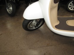 �z���_�W�����m�i���Q�����R�s�j�摜10