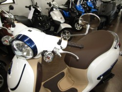 �z���_�W�����m�i���Q�����R�s�j�摜14