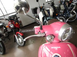 �z���_�W�����m�i���Q�����R�s�j�摜13