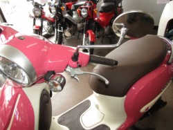 �z���_�W�����m�i���Q�����R�s�j�摜14