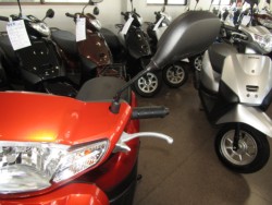 �z���_�^�N�g�E�x�[�V�b�N�i���Q�����R�s�j�摜14