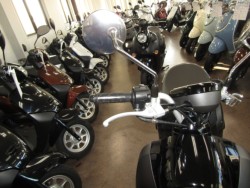 ���}�n�r�[�m�i���Q�����R�s�j�摜13