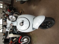 �z���_�W�����m�i���Q�����R�s�j�摜3