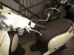 �z���_�W�����m�i���Q�����R�s�j�摜14