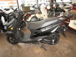 �X�Y�L�A���F�j�X125�i���Q�����R�s�j�摜2