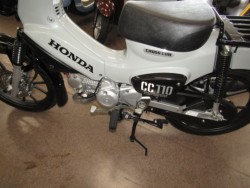 �z���_�N���X�J�u110�i���Q�����R�s�j�摜9