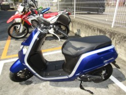 �z���_Dunk�i���Q�����R�s�j�摜2