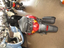 �z���_�^�N�g�E�x�[�V�b�N�i���Q�����R�s�j�摜4