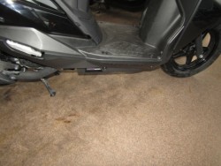 �X�Y�L�A���F�j�X125�i���Q�����R�s�j�摜6