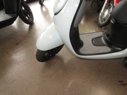 �z���_�W�����m�i���Q�����R�s�j�摜10