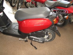 �z���_�^�N�g�E�x�[�V�b�N�i���Q�����R�s�j�摜8