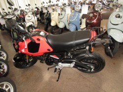 �z���_�O�����i���Q�����R�s�j�摜2