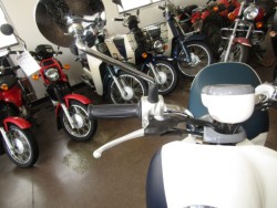 ���}�n�r�[�m�i���Q�����R�s�j�摜13