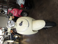 �z���_�W�����m�i���Q�����R�s�j�摜3