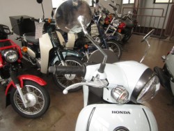 �z���_�W�����m�i���Q�����R�s�j�摜13