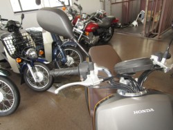 �z���_Dunk�i���Q�����R�s�j�摜13