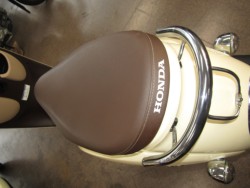 �z���_�W�����m�i���Q�����R�s�j�摜11