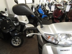 �z���_�^�N�g�E�x�[�V�b�N�i���Q�����R�s�j�摜13