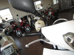 ���}�n�A�N�V�XZ�i���Q�����R�s�j�摜13