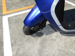 �z���_Dunk�i���Q�����R�s�j�摜10