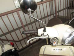 �z���_�W�����m�i���Q�����R�s�j�摜13