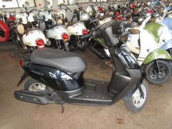 �z���_�^�N�g�E�x�[�V�b�N�i���Q�����R�s�j�摜1