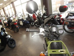 �z���_�N���X�J�u50�i���Q�����R�s�j�摜13