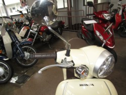 �z���_�W�����m�i���Q�����R�s�j�摜13