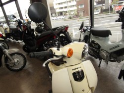 �z���_�X�[�p�[�J�u50�i���Q�����R�s�j�摜13