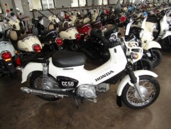 �z���_&nbsp;�N���X�J�u50 