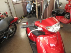 �z���_�^�N�g�E�x�[�V�b�N�i���Q�����R�s�j�摜13