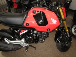 �z���_�O�����i���Q�����R�s�j�摜6