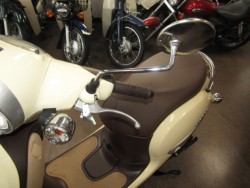 �z���_�W�����m�i���Q�����R�s�j�摜14