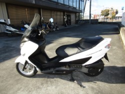 �X�Y�L�o�[�O�}��200�i���Q�����R�s�j�摜2