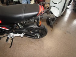 �z���_�O�����i���Q�����R�s�j�摜8