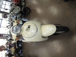 �z���_�W�����m�i���Q�����R�s�j�摜3