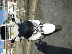 �X�Y�L�o�[�O�}��200�i���Q�����R�s�j�摜3