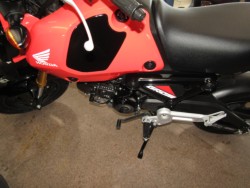 �z���_�O�����i���Q�����R�s�j�摜9