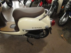 �z���_�W�����m�i���Q�����R�s�j�摜6