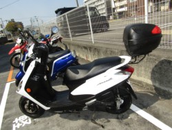 ���}�n�A�N�V�XZ�i���Q�����R�s�j�摜2