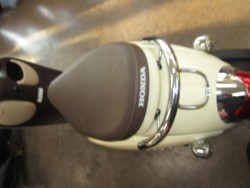 �z���_�W�����m�i���Q�����R�s�j�摜11