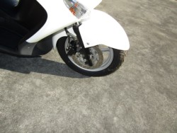 �X�Y�L�o�[�O�}��200�i���Q�����R�s�j�摜5