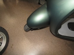 �z���_�W�����m�i���Q�����R�s�j�摜10